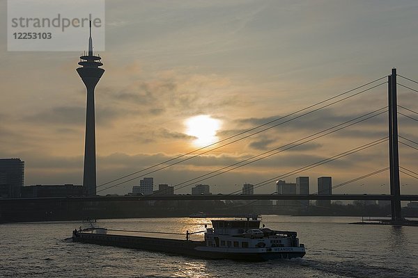 Frachtschiff auf dem Rhein  Gegenlicht  Düsseldorf  Nordrhein-Westfalen  Deutschland  Europa