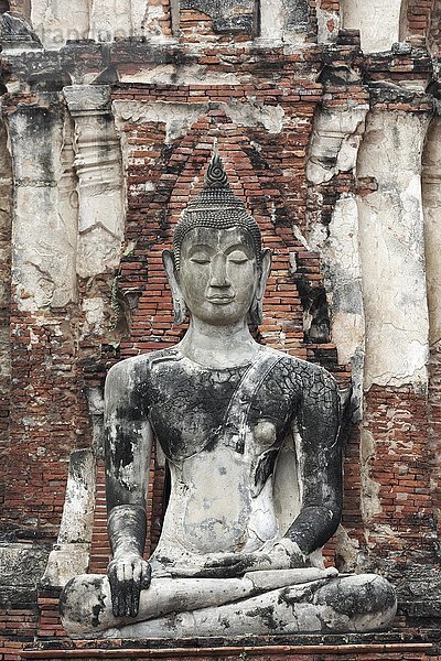 Buddha-Statue im Wat Maha Tat  Wat Mahathat  Ayutthaya  Phra Nakhon Si Ayutthaya  Thailand  Asien