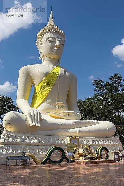 Phutthasathan Phu Sing Buddha-Statue  Non Buri  Bezirk Sahatsakhan  Provinz Kalasin  Isan  Nordost Thailand