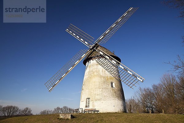 Egelsbergmühle  historische Windmühle  Krefeld  Niederrhein  Nordrhein-Westfalen  Deutschland  Europa
