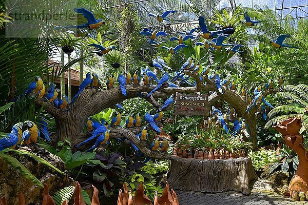 Papageienfiguren  Nong Nooch Tropischer Botanischer Garten  Pattaya  Thailand  Asien
