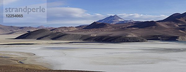 Laguna Santa Rosa mit dem Vulkan Nevado Ojos del Salado  Nationalpark Nevado Tres Cruces  Región de Atacama  Chile  Südamerika