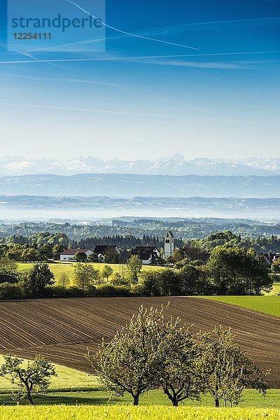 Blick über den Bodensee mit Schweizer Alpen  Linzgau  Bodenseekreis  Oberschwaben  Baden-Württemberg  Deutschland  Europa