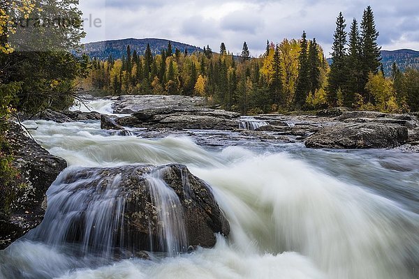 Stromschnellen von Gamajåhkå  Flüsse  Kvikkjokk  Laponia  Norrbotten  Lappland  Schweden  Europa