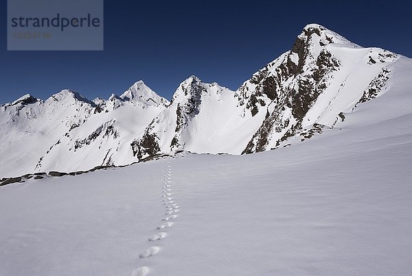 Schneespuren  Blick auf den Gipfel des Zischgeles  Stubaier Alpen  Tirol  Österreich  Europa