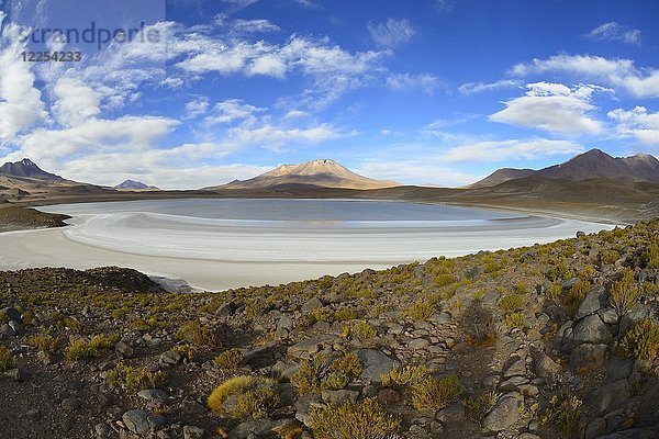 Typische Landschaft an der Laguna Hedionda  Lagunenroute  Provinz Nor Lípez  Departement Potosi  Bolivien  Südamerika
