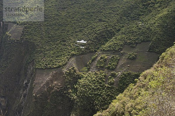 Terrassen  teilweise ausgegrabene Ruinenstadt der Inkas  Choquequirao  Süden  Peru  Südamerika