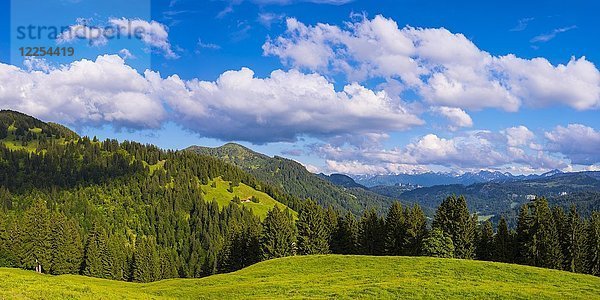 Almenlandschaft bei Balderschwang  Allgäuer Alpen  Allgäu  Bayern  Deutschland  Europa