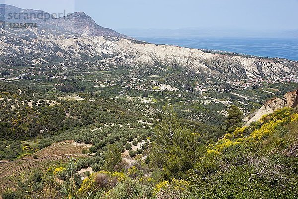 Landschaft mit Olivenhainen  Kyllini-Gebirge zwischen Kariotika und Zemeno  Korinthia  Peloponnes  Griechenland  Europa