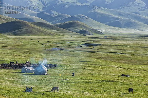 Nomaden-Jurtenlager  Song-Kol-See  Provinz Naryn  Kirgisistan  Zentralasien  Asien