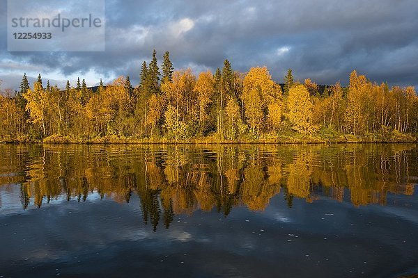 Herbstlandschaft  Spiegelung  Kvikkjokk Delta  Fluss Tarraätno  Sarek Nationalpark  Norrbottens  Norrbottens län  Lappland  Lappland  Schweden  Europa