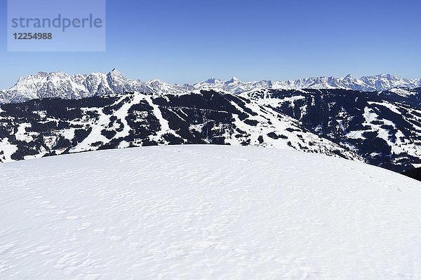 Blick vom Schattberg über das Skigebiet Saalbach auf Leoganger Steinberge  Watzmann  Großer Hundstod und Steinernes Meer  Saalbach  Salzburger Land  Österreich  Europa