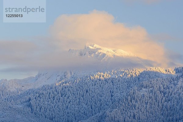 Bendiktenwand  im Winter  bei Großweil  Oberbayern  Bayern  Deutschland  Europa