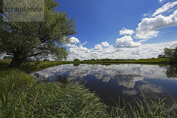 Fluss Sude mit bewölktem Himmel  Spiegelung  UNESCO Biosphärenreservat Flusslandschaft Elbe  Mecklenburg-Vorpommern  Deutschland  Europa