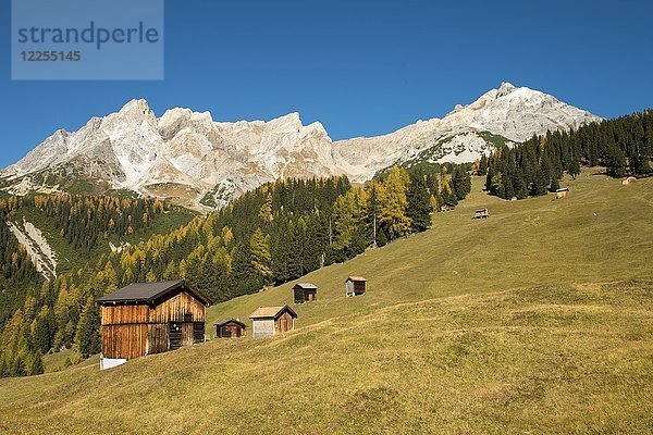 Herbstliche Berglandschaft mit Almhütten  hinter der Eisenspitze  dem Stertekopf und dem Dawinkopf  Dawin-Alpe  Waldwiesen  Strengen am Arlberg  Tirol  Österreich  Europa
