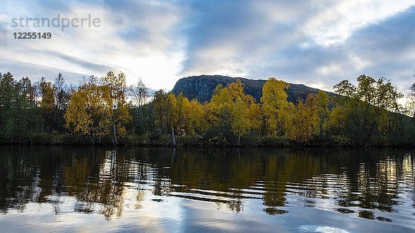 Herbstlandschaft  Kvikkjokk-Delta  Spiegelung im Tarraätno-Fluss  Sarek-Nationalpark  Norrbottens  Norrbottens län  Lappland  Lappland  Schweden  Europa