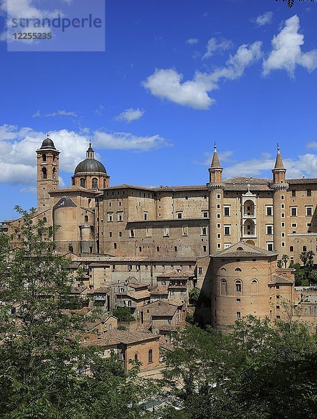 Dom und Palazzo Ducale der historischen Stadt Urbino  Region Marken  Italien  Europa