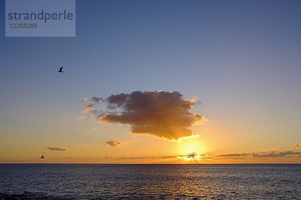 Sonnenuntergang über dem Atlantischen Ozean  La Gomera  Kanarische Inseln  Spanien  Europa