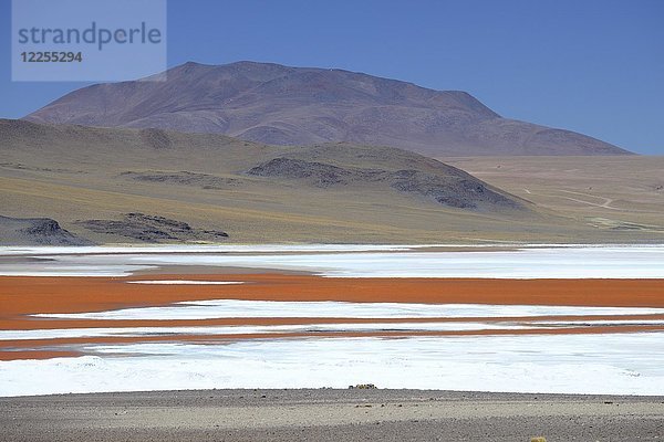 Farbenspiel der Laguna Colorada  Reserva Nacional de Fauna Andina Eduardo Abaroa  Altiplano  Sur Lípez  Bolivien  Südamerika