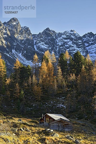 Innerbergli-Alm im Herbst in der Samnaungruppe  hinter Gipfel Mittagskopf und Mittagsscharte  Mathon im Paznauntal  Tirol  Österreich  Europa