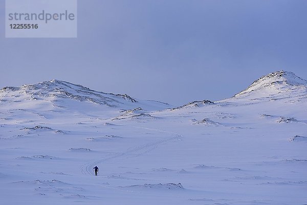 Langlaufloipe im Skigebiet Blafjöll  Höfudborgarsvaedid  Island  Europa