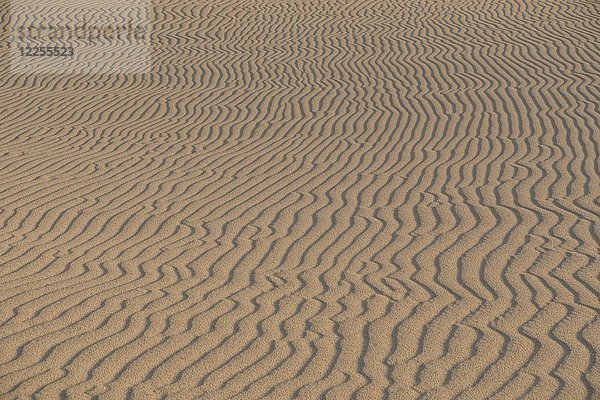 Strukturen im Sand  Parque Natural de Corralejo  Fuerteventura  Kanarische Inseln  Spanien  Europa