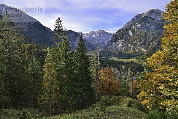 Eng-Tal  gesehen von der Hasental-Alm Niederleger  Karwendelgebirge  Tirol  Österreich  Europa