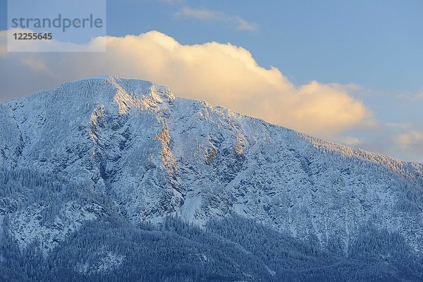 Jochberg  im Winter  Kochel am See  Oberbayern  Bayern  Deutschland  Europa