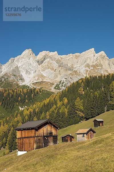 Herbstliche Berglandschaft mit Almhütten  hinter der Eisenspitze  Dawin-Alpe  Waldwiesen  Strengen am Arlberg  Tirol  Österreich  Europa