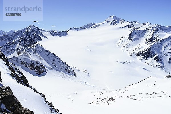 Wildspitze mit Mittelbergferner im Winter  Pitztal  Ötztaler Alpen  Tirol  Österreich  Europa