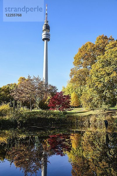 Teich mit Florian im Herbst  Florianturm  Fernsehturm  Westfalenpark  Dortmund  Nordrhein-Westfalen  Deutschland  Europa