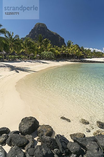 Strand mit Palmen  im Hintergrund der Berg Le Morne Brabant  Halbinsel Le Morne  Black River  Mauritius  Afrika