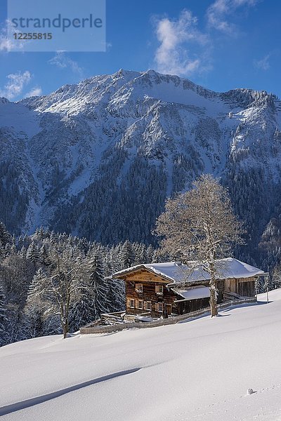 Bergbauernhof im Winter in Gerstruben  einem ehemaligen Bergbauerndorf im Dietersbachtal bei Oberstdorf  dahinter der Himmelschrofenzug  Allgäuer Alpen  Allgäu  Bayern  Deutschland.