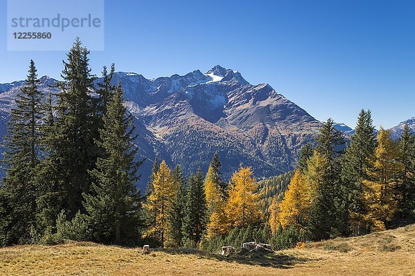 Herbstliche Berglandschaft  hinter Hoher Riffler  Dawin-Alpe  Strengen am Arlberg  Tirol  Österreich  Europa