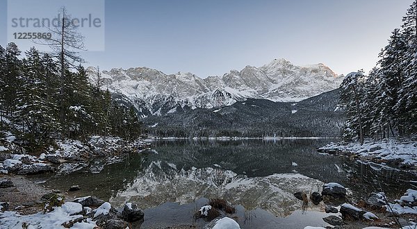 Eibsee im Winter mit Zugspitze  Spiegelung  Wettersteingebirge  Oberbayern  Bayern  Deutschland  Europa