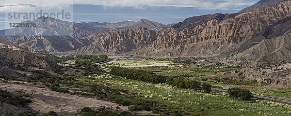 Grünes Tal in einer bizarren Berglandschaft  Hochebene  Cachi  Departamento Rosario de Lerma  Provinz Salta  Argentinien  Südamerika