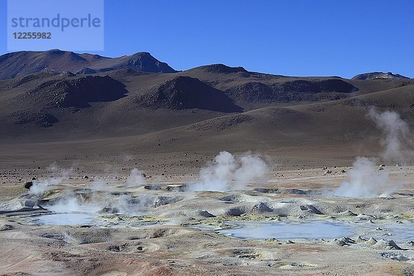 Sol de Mañana  das höchste geothermische Feld der Welt  Reserva Nacional de Fauna Andina Eduardo Abaroa  Sur Lípez  Potosí  Bolivien  Südamerika