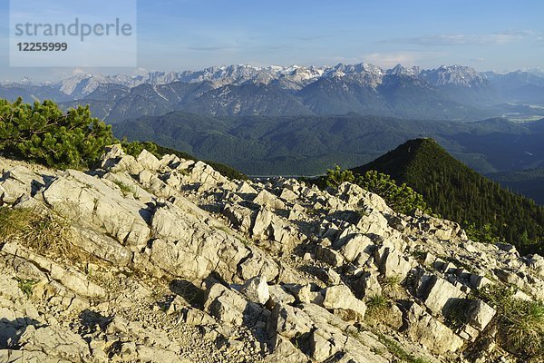Blick vom Herzogstand auf das Karwendelgebirge und die Soierngruppe  Walchensee  Oberbayern  Bayern  Deutschland  Europa