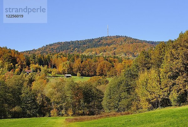 Berg Brotjacklriegel  Bayerischer Wald  Niederbayern  Bayern  Deutschland  Europa