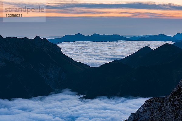 Berggipfel mit Nebelmeer in der blauen Stunde  Wilder Kaiser  Scheffau  Tirol  Österreich  Europa