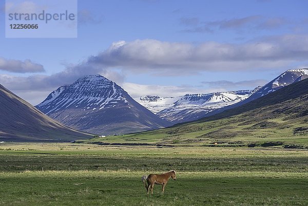 Bergmassiv Hagafjall  Hólar  Norðurland vestra  Island  Europa