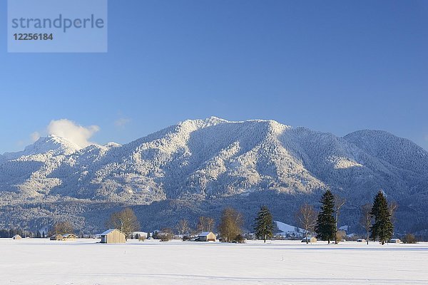 Bendiktenwand und Rabenkopf  im Winter  bei Großweil  Oberbayern  Bayern  Deutschland  Europa