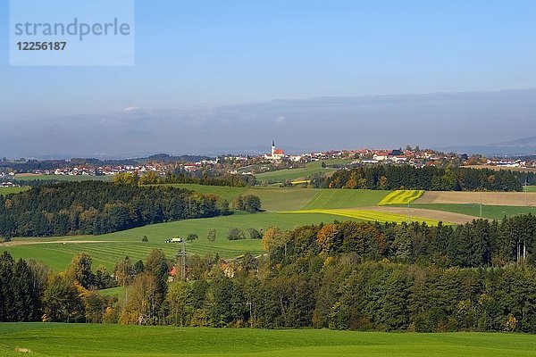 Untergriesbach  Bayerischer Wald  Niederbayern  Bayern  Deutschland  Europa