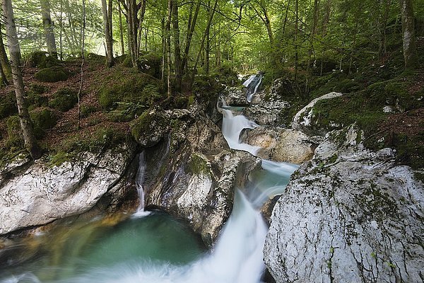 Fluss Lepenjica  Kaskaden  Triglav-Nationalpark  Slowenien  Europa