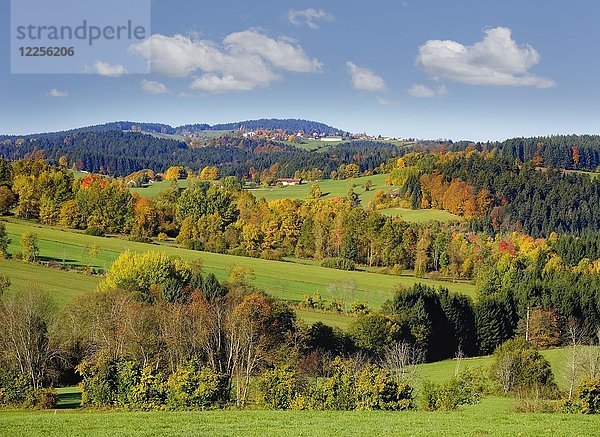 Herbstlandschaft  Hohenau  Bayerischer Wald  Niederbayern  Bayern  Deutschland  Europa
