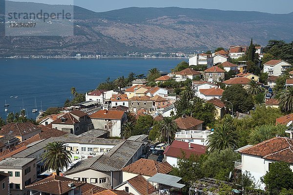 Blick auf die Altstadt  Herceg Novi  Bucht von Kotor  Montenegro  Europa