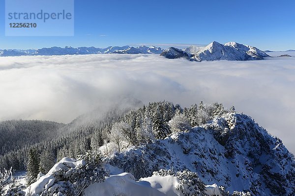 Blick vom Jochberg bei Kochel am See auf das Wettersteingebirge mit Zugspitze  Estergebirge und Herzogstand und Heimgarten  im Winter  Oberbayern  Bayern  Deutschland  Europa