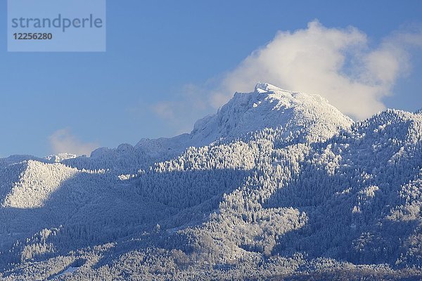 Bendiktenwand  im Winter  bei Großweil  Oberbayern  Bayern  Deutschland  Europa