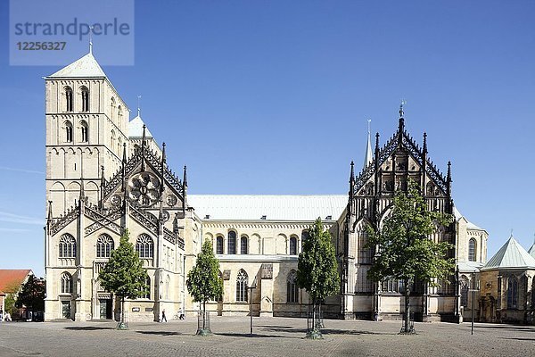St.Paulus-Dom  Domplatz  Münster  Nordrhein-Westfalen  Deutschland  Europa