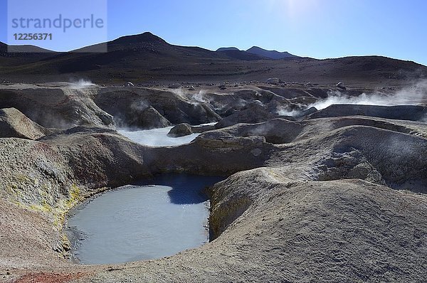 Sol de Mañana  das höchste geothermische Feld der Welt  Reserva Nacional de Fauna Andina Eduardo Abaroa  Sur Lípez  Potosí  Bolivien  Südamerika